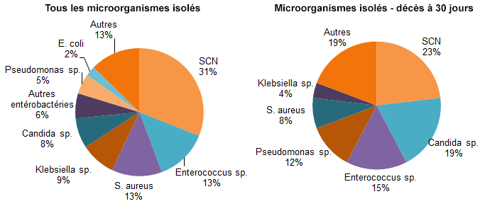 Figure 5 – Répartition des catégories de microorganismes isolés, pour tous les cas (N = 133) et pour les cas décédés à 30 jours (N = 26), Québec, 2016-2017 (%)