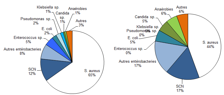Figure 8 – Répartition des catégories de microorganismes isolés, pour tous les cas (N = 129) et pour les cas décédés à 30 jours (N = 18), Québec, 2016-2017 (%) 