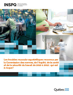 Les troubles musculo-squelettiques reconnus par la Commission des normes, de l’équité, de la santé et de la sécurité du travail de 2010 à 2012 : qui est à risque?