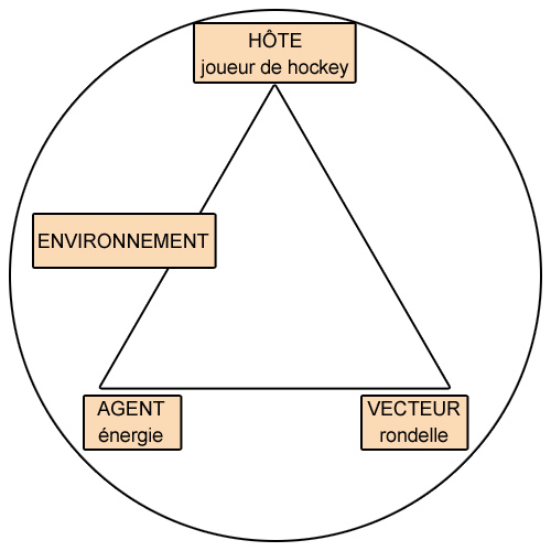 Illustration du triangle épidémiologique (ex. : Hockey sur glace)